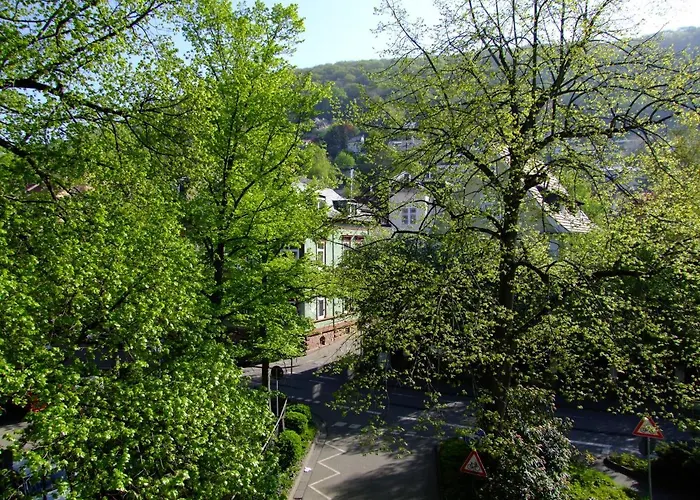 Daire Heidel-home 1raum