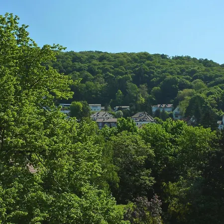 Апартаменты Heidel-home 1raum